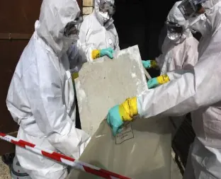 Completed asbestos service project
